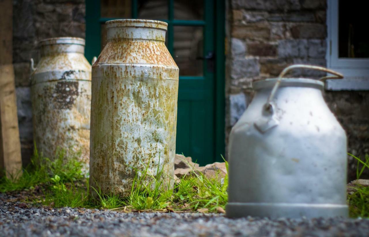 Pontyclerc Farm House Bed And Breakfast Ammanford Exteriör bild