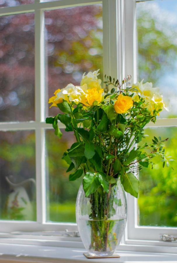 Pontyclerc Farm House Bed And Breakfast Ammanford Exteriör bild
